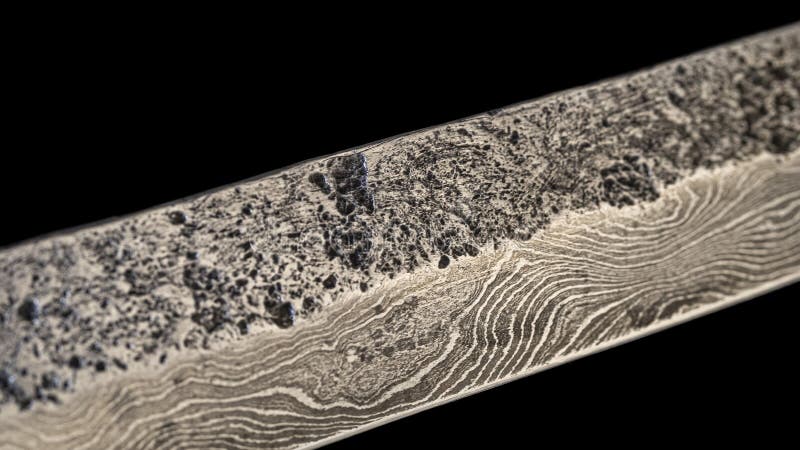 Carbon vs. Stainless: Understanding Your Blade's DNA